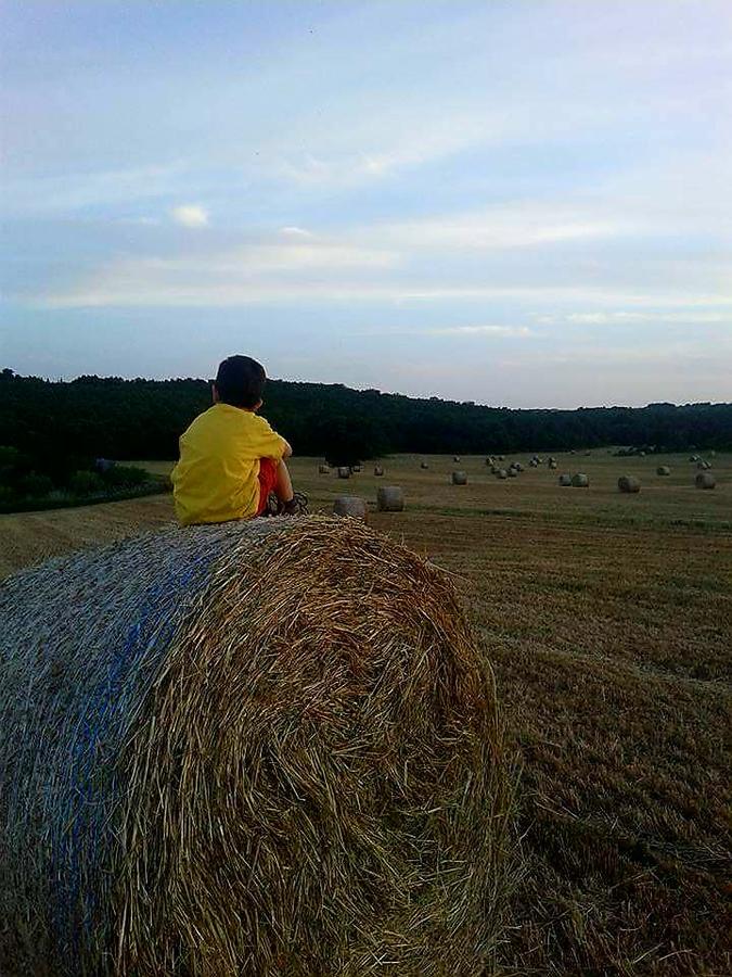 Agriturismo Amicizia กัสซาโน เดลเล มูร์เจ ภายนอก รูปภาพ