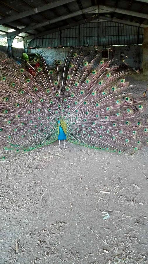 Agriturismo Amicizia กัสซาโน เดลเล มูร์เจ ภายนอก รูปภาพ
